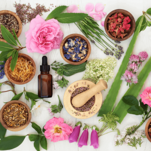 10 prírodných byliniek a korenín, ktoré vám pomôžu pri liečbe zdravotných problémov!