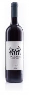 PINOT NOIR / RULANSK MODR 2016